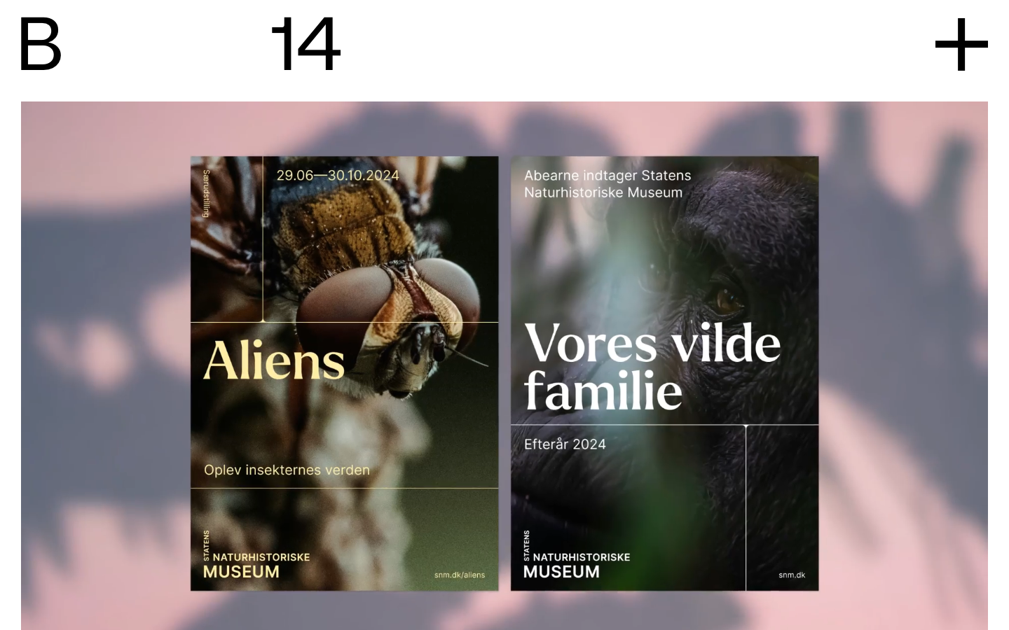 Screenshot of B14 website