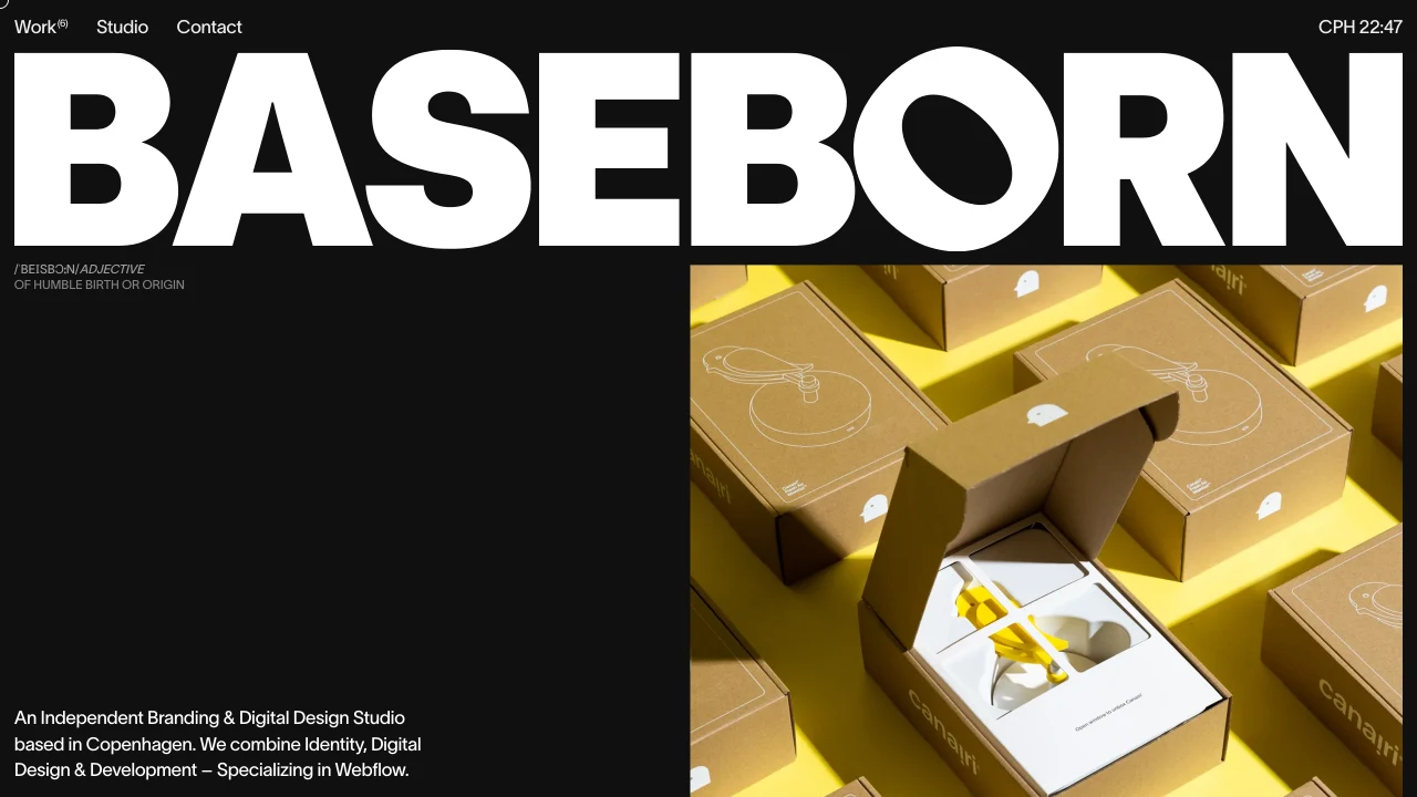 Screenshot of BASEBORN website