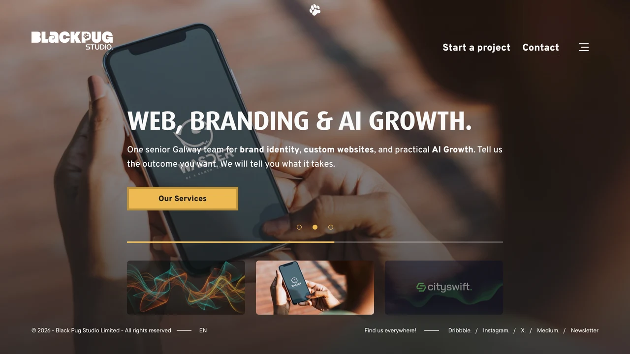 Screenshot of Black Pug Studio website