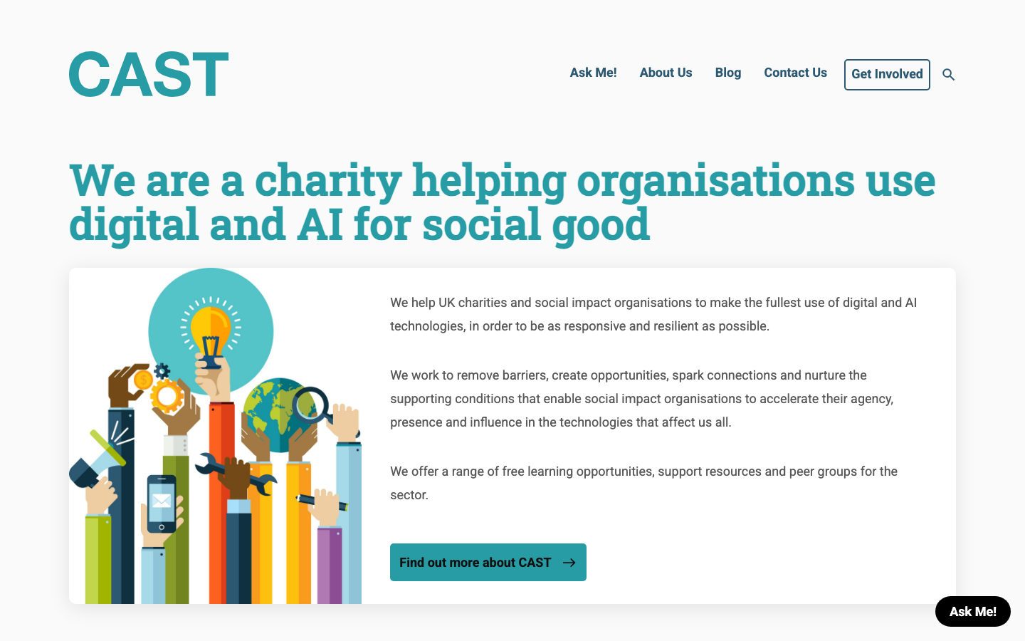 Screenshot of CAST website