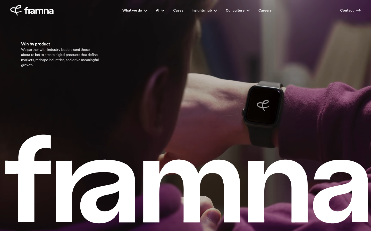 Screenshot of Framna website