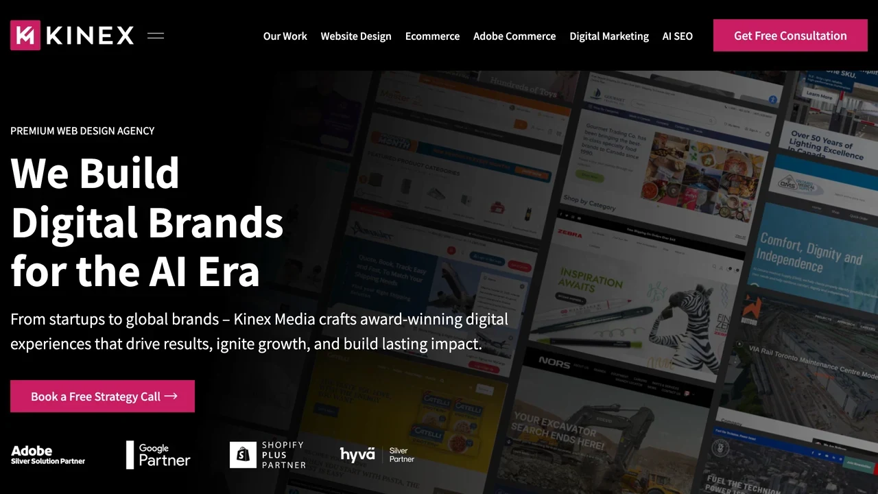 Screenshot of Kinex Media website