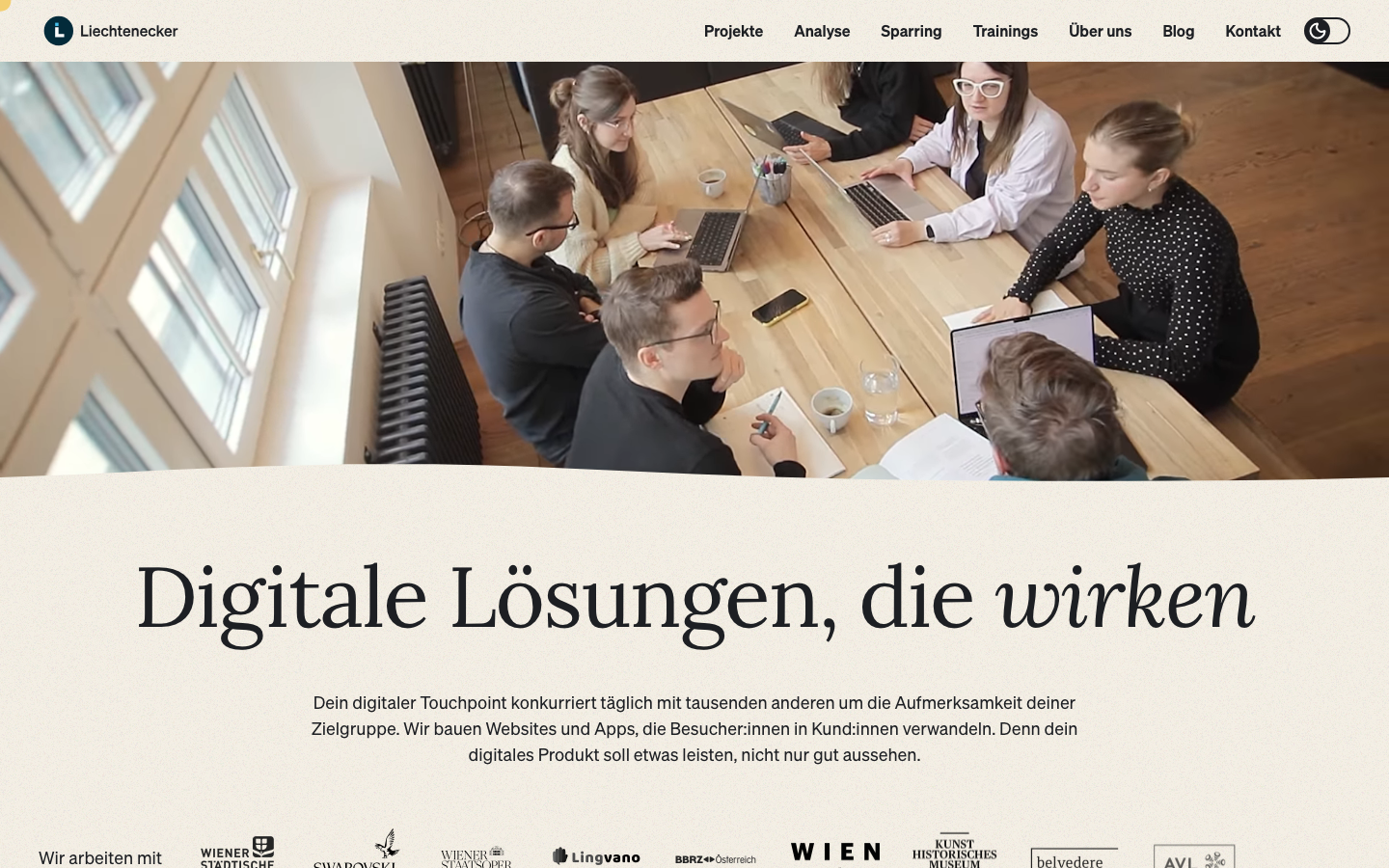 Screenshot of Liechtenecker website