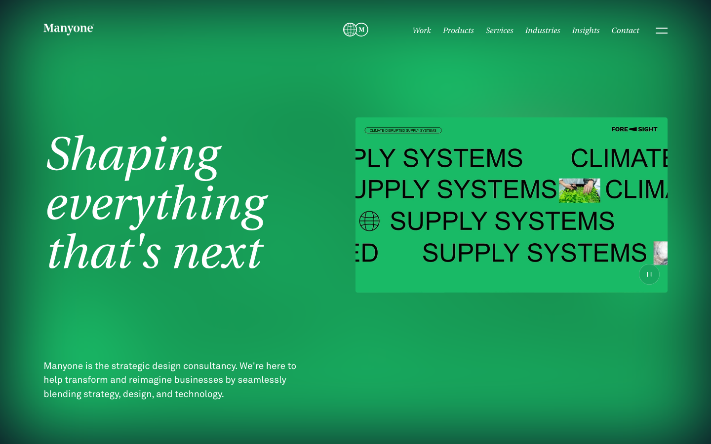 Screenshot of Manyone website