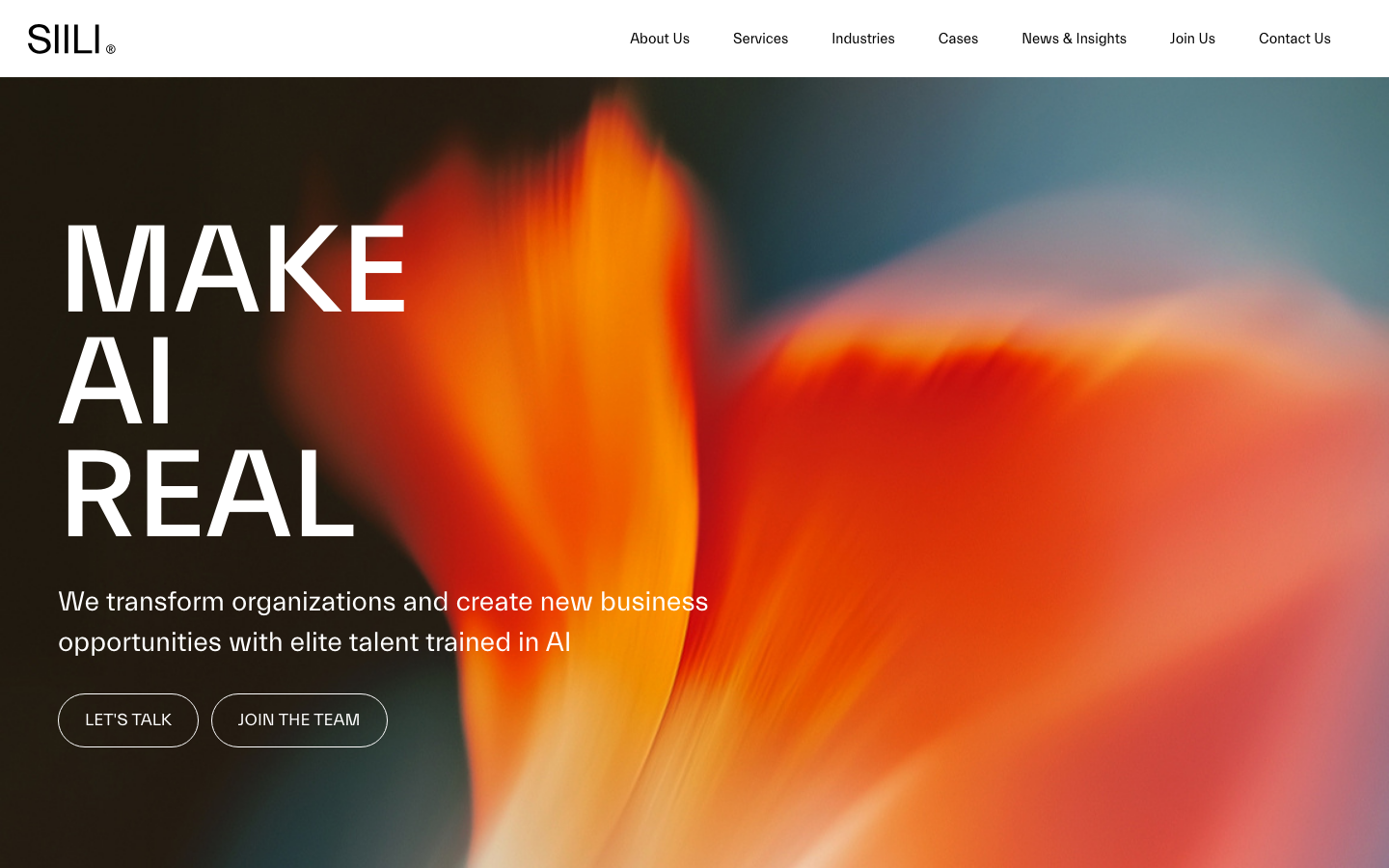 Screenshot of Siili website