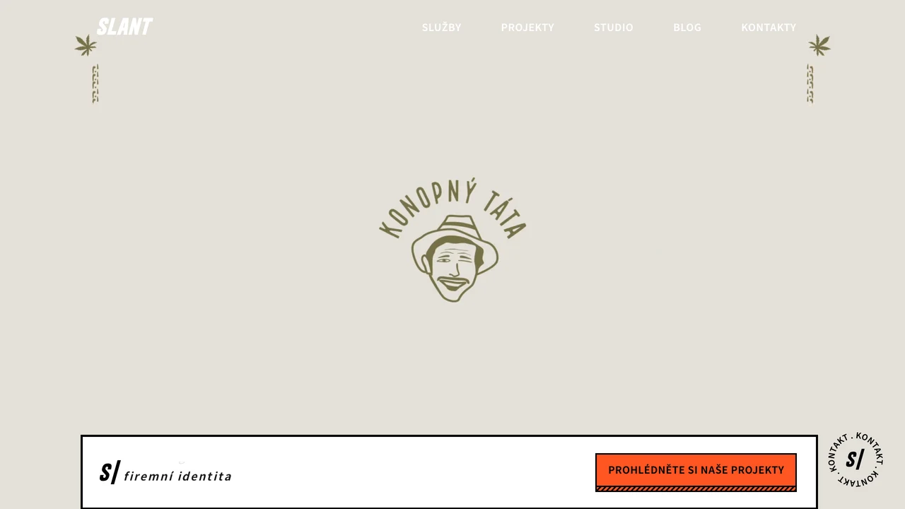 Screenshot of Slant website