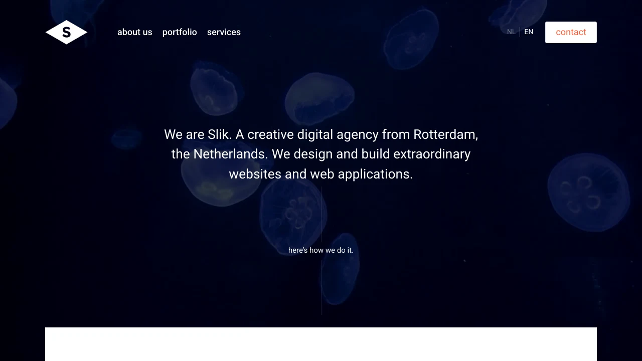 Screenshot of Slik website