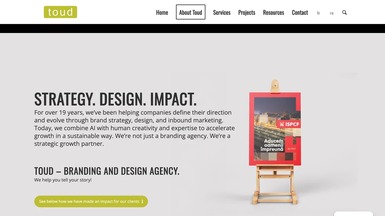 Screenshot of Toud website